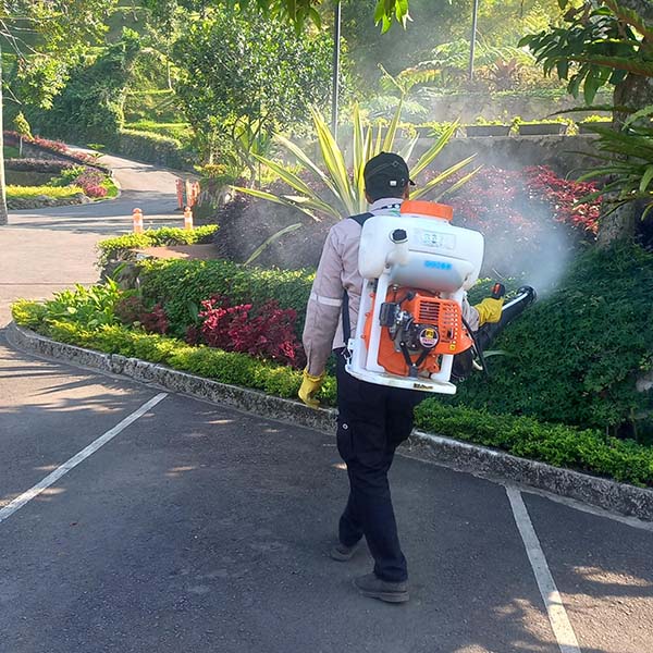 insect-1 insect-1